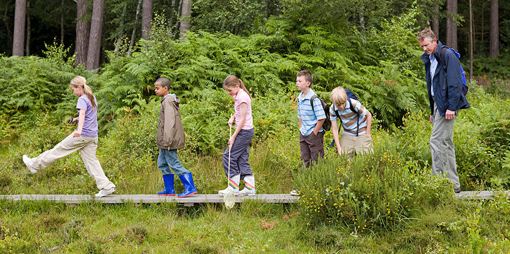 Gratitude Nature Walk | Greater Good In Education