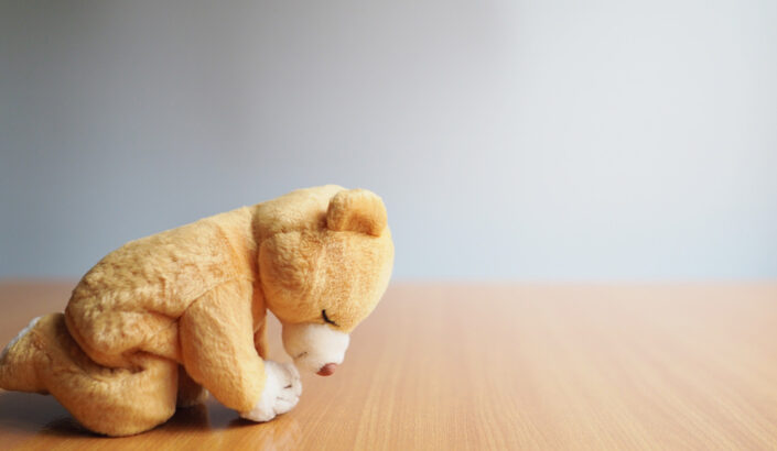 Stuffed animal looking down humbly