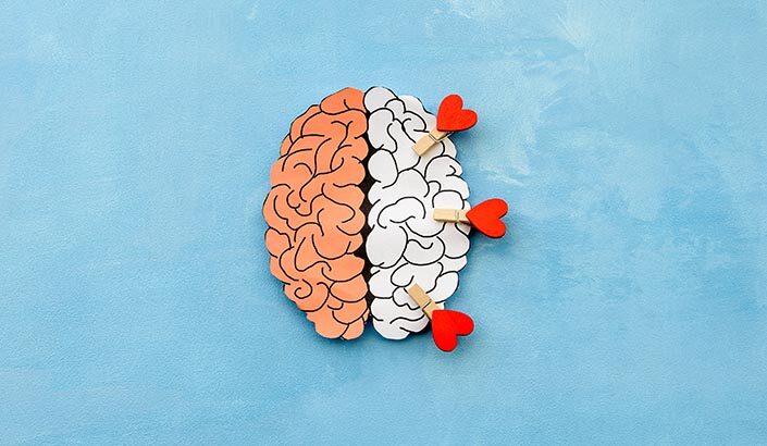 Hearts in brain