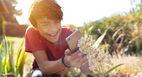 Latinx teen cheerfully photographing plants in his garden with smartphone