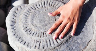 white person's hand touching an ammonite print on a stone