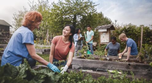 Multiracial group of young people volunteer to plant vegetables in community garden