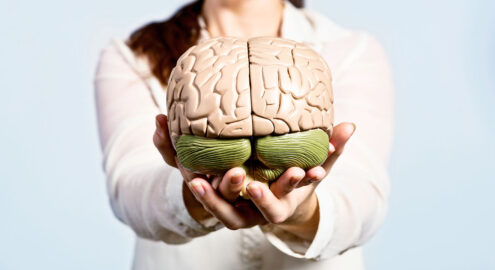 Brunette woman holds out medical model of human brain