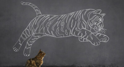 A tabby cat sitting on wooden floor and looking at the running (or jumping) tiger sketched (chalk drawing) on the wall.