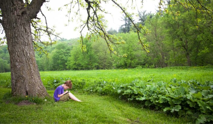 Boy sitting under a tree and drawing in a notebook