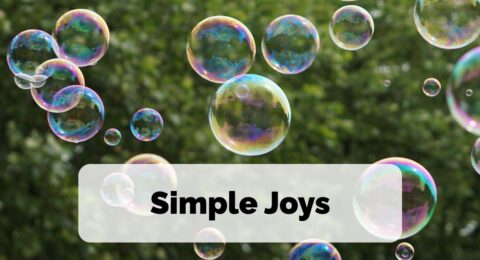 Bubbles float through the air, to signify simple joy. The words Simple Joys are overlayed on top of the image.