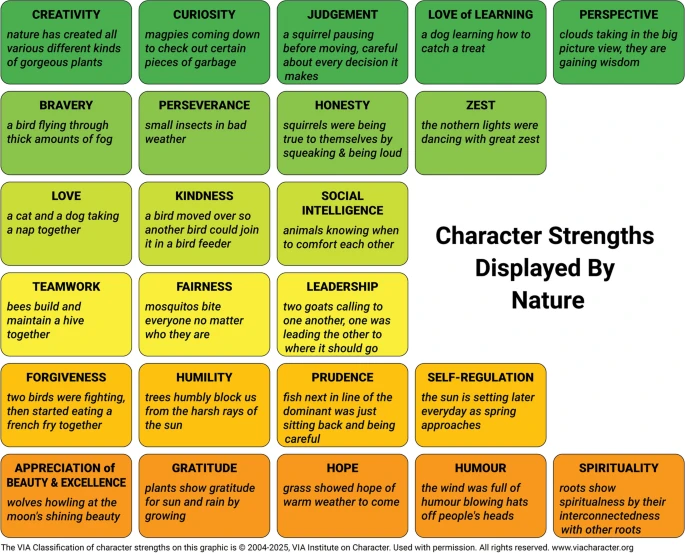 Chart of character strengths displayed in nature, in a gradient from green to orange.